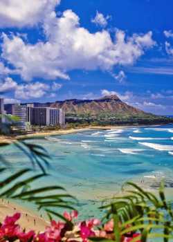 residential moving to hawaii moving movers foreman